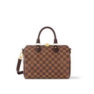 Louis Vuitton Speedy Bandoulière 25 N40575
