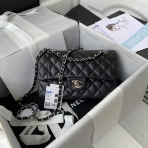 Chanel Small Classic Handbag Caviar Silver Hardware