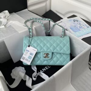 Chanel Small Classic Handbag Caviar Silver Hardware