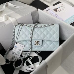 Chanel Small Classic Handbag Silver Hardware