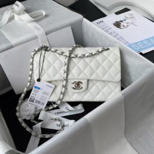 Chanel Small Classic Handbag Caviar Silver Hardware