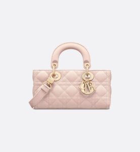 Dior Small Lady D-Joy Bag HandBags