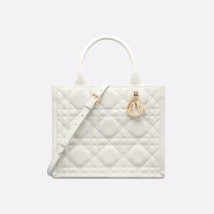 Dior Small Dior Book Tote HandBags