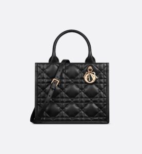 Dior Small Dior Book Tote HandBags