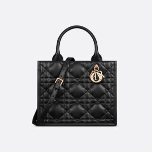 Dior Small Dior Book Tote HandBags