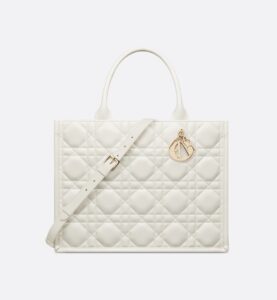 Dior Medium Dior Book Tote HandBags
