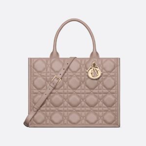 Dior Medium Dior Book Tote HandBags