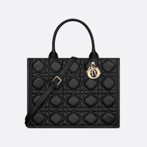 Dior Medium Dior Book Tote HandBags