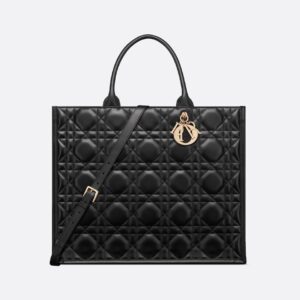 Dior Large Dior Book Tote HandBags