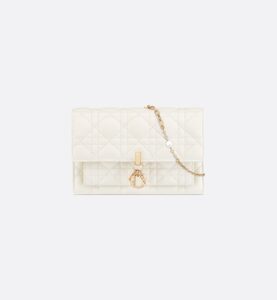 Dior My Dior Daily Chain Pouch