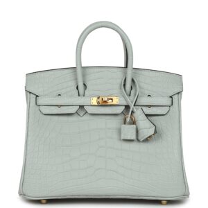 Hermès Birkin 25 Gris Neve Matte Alligator Gold Hardware