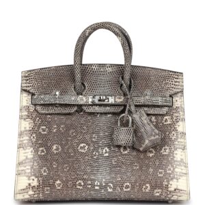 Hermès Birkin Sellier 20 Ombre Varanus Salvator Lizard Palladium Hardware