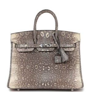 Hermès Birkin 25 Ombre Varanus Salvator Lizard Palladium Hardware