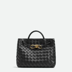 Bottega Veneta Small Andiamo