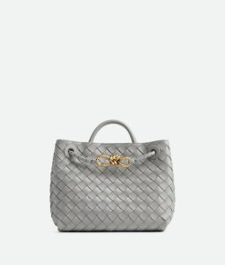 Bottega Veneta Small Andiamo