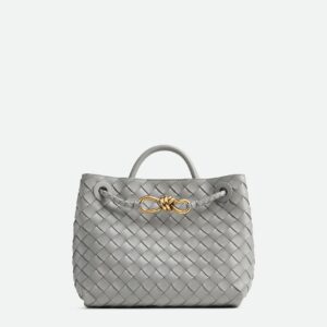 Bottega Veneta Small Andiamo