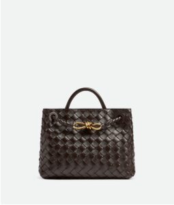 Bottega Veneta Small Andiamo