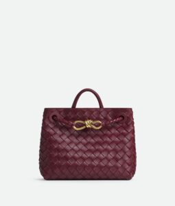 Bottega Veneta Small Andiamo