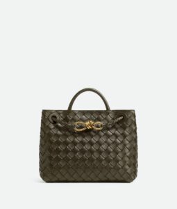 Bottega Veneta Small Andiamo