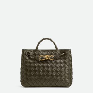 Bottega Veneta Small Andiamo