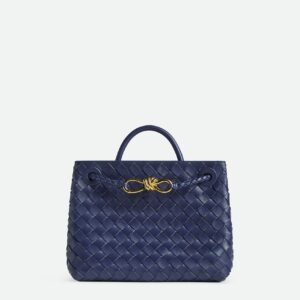 Bottega Veneta Small Andiamo