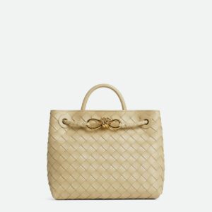 Bottega Veneta Small Andiamo