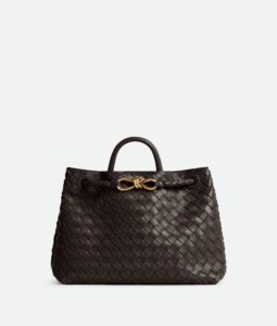 Bottega Veneta Medium Andiamo