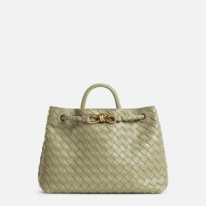 Bottega Veneta Medium Andiamo