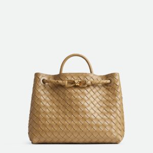 Bottega Veneta Medium Andiamo