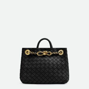 Bottega Veneta Small Andiamo With Chain
