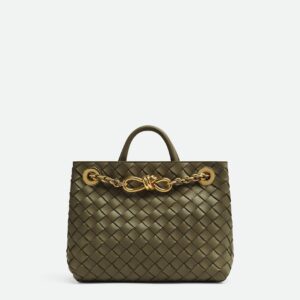 Bottega Veneta Small Andiamo With Chain