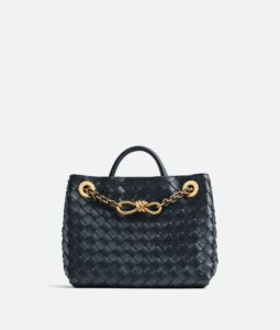 Bottega Veneta Small Andiamo With Chain