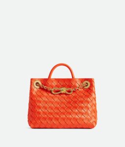 Bottega Veneta Small Andiamo With Chain