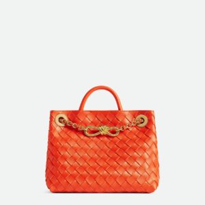 Bottega Veneta Small Andiamo With Chain