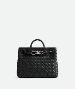 Bottega Veneta Small Andiamo