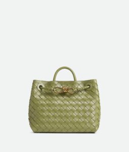 Bottega Veneta Small Andiamo