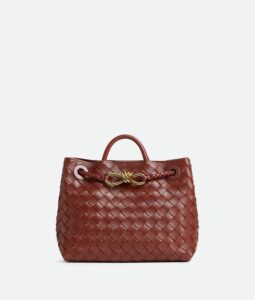 Bottega Veneta Small Andiamo