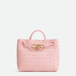 Bottega Veneta Small Andiamo