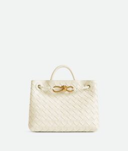 Bottega Veneta Small Andiamo