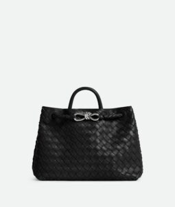 Bottega Veneta Medium Andiamo