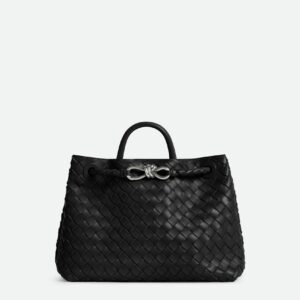 Bottega Veneta Medium Andiamo