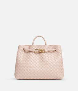 Bottega Veneta Medium Andiamo