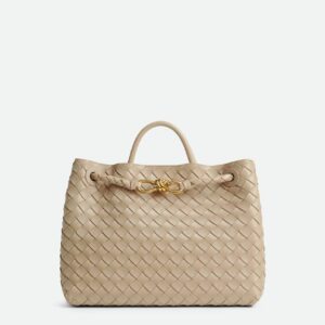 Bottega Veneta Medium Andiamo