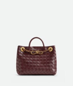 Bottega Veneta Small Andiamo