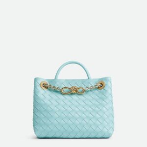 Bottega Veneta Small Andiamo